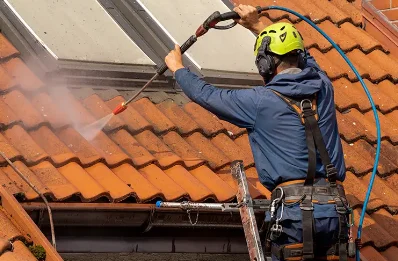 Démoussage et hydrofuge de toiture au Plan